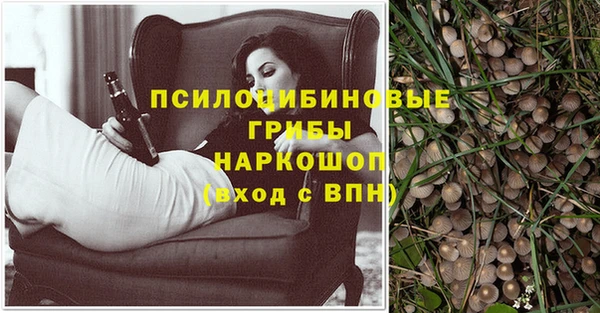 мескалин Михайлов