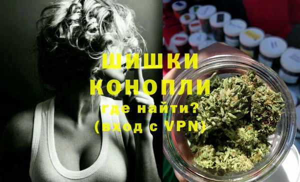 сатива Михайловск