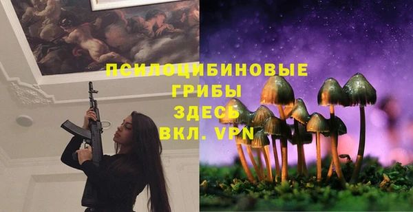 сатива Михайловск