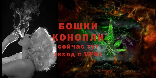 мескалин Михайлов